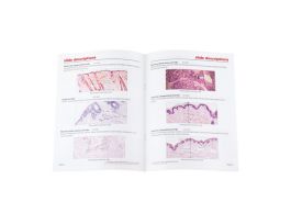 SKIN & APPENDAGES SET SET/9