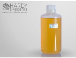 BROTH LETHEEN 500ML/400ML FILL PP BOTTLE