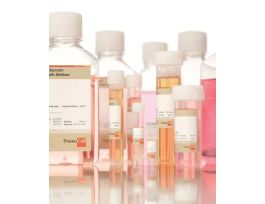 FIBROBLAST GROWTH MEDIUM 2 KIT