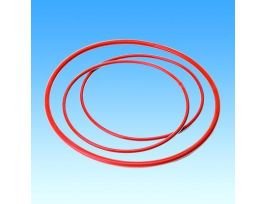 O-RING 168MM FLANGE KALREZ 145.4MM SZ359