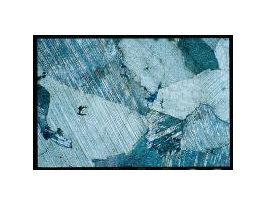 DOLOMITE THIN SECTION