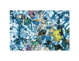 DIABASE THIN SECTION