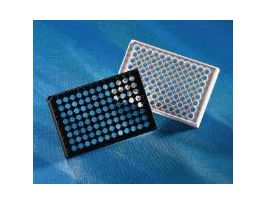 PLATE 96WELL BLK CLR BTM CS100