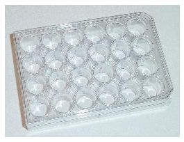 PLATE MWELL W/LID 24WELL CS50.