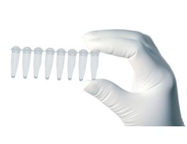 HOT START MASTER MIX