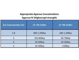 AGAROSE IV HIGHEST GEL STR 100G F/ELP