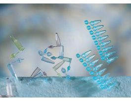 PCR STRIP CAPS DOMED LID CLEAR PK