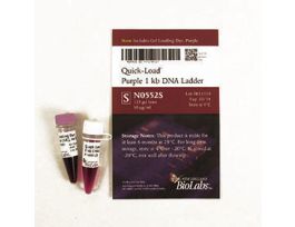 Q-L PURPLE 1 KB DNA LADDERN0552S