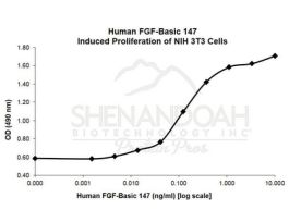 ANIMAL FREE HUMAN FGF/BASIC 147 (FGF-2)