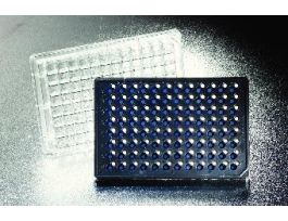 INSERT HTS 96W 8UM W/LID CS1.