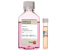 ENDOTHELIAL CELL BASAL MEDIUM 2 (PRF)