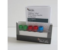 NEBNEXT DNA LIBRARY PREP 96RXN