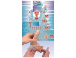 BIRTH CONTROL TRAINING SET