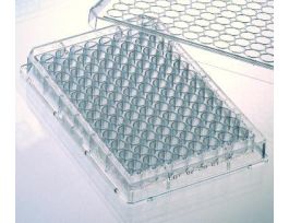 PLATE STREPTAVIDIN 384WL CS40