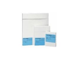 Blue-Sensitive Autoradiography Film, 5x7", 100/pk