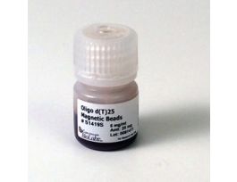 OLIGO DT25 MAGNETIC BEADS 25MG