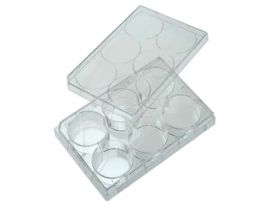 6-Well Cell Culture Plate with Lid; 100/cs