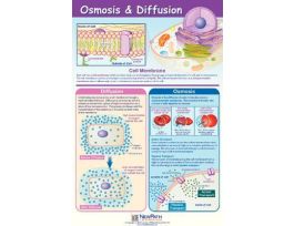 POSTER OSMOS & DIFFUSIO NEW. PK