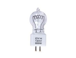 LAMP HALO USHIO EYHFKT#1000453.