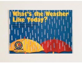 BOOK WHAT'S THE WEATHER LIKE TODAY?