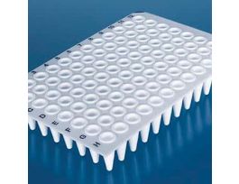 PCR Plate, 96-Well, Non-Skirted, Low-Profile, White; 50/PK
