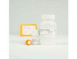 HALOTAG(R) PROTEIN PURIFICATION SYSTEM