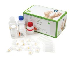 ILLUSTRA PLASMID MINI (250)