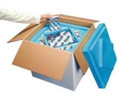 SHIPPER KOOLTEMP GTS 48-HR PK1