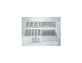 Nunclon Delta 24-Well PS MultiDish w/Lid, 128x86mm; 85/Cs