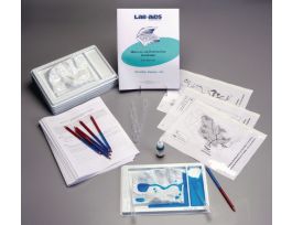 MODELING INVESTIGATING WATERSHEDS LAB