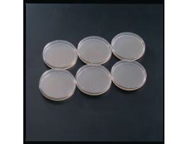 YEAST GENETIC (YEAD AGAR) PK/10 PLATES