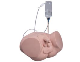 CATHETERIZATION SIMULATOR PRO, MALE