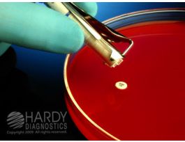 NALIDIXIC ACID NA-30 HARDYDISKS AST 30UG