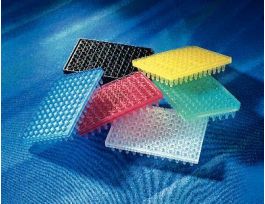 PCR PLATE 96-WELL PP CS25
