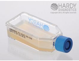 MIDDLEBROOK 7H11 SLCTV 12 ML HARDYFLASK