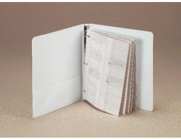 HOLDER PAGES VIEW-PACK RING BINDER PK10