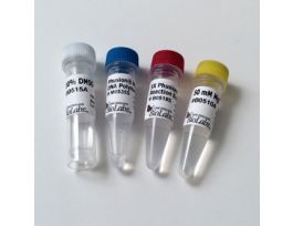 PHUSION HOT START FLEX DNA POL