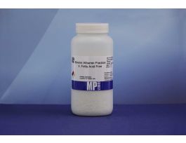 ALBUMIN BOVINE FR 100.00GM