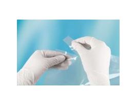 BAG(CHICKEN)RINSE 15X20INPK250 CS