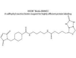 BIOTIN BMCC KIT 10RXN
