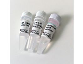 ALPHA 1 36 GALACTOSIDASE 100