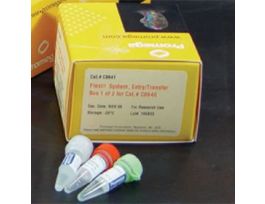 FLEXI(R) SYSTEM ENTRY/ TRANSFER