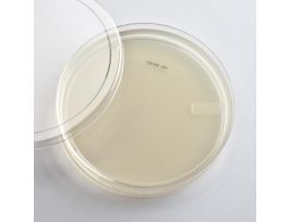 TUBES TRYPTIC SOY AGAR PKG/12. CS
