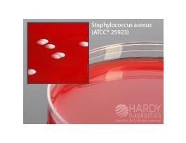 COLUMBIA CAN AGAR PK10