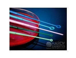 MUELER HINTON AGAR PK10