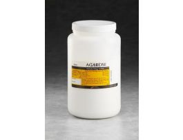 BIOMAX BASIC AGAROSE - 1KG