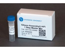 MASTER MIX GIBSON ASSEMBLY HIFI 10 RXN