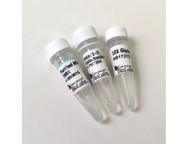 BETA 1-3 GALACTOSIDASE