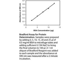 PROTEIN ASSAY BRDFRD MTHD KIT