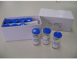 RABBIT COAGULASE PLASMA 10X3ML F/ IDENT.